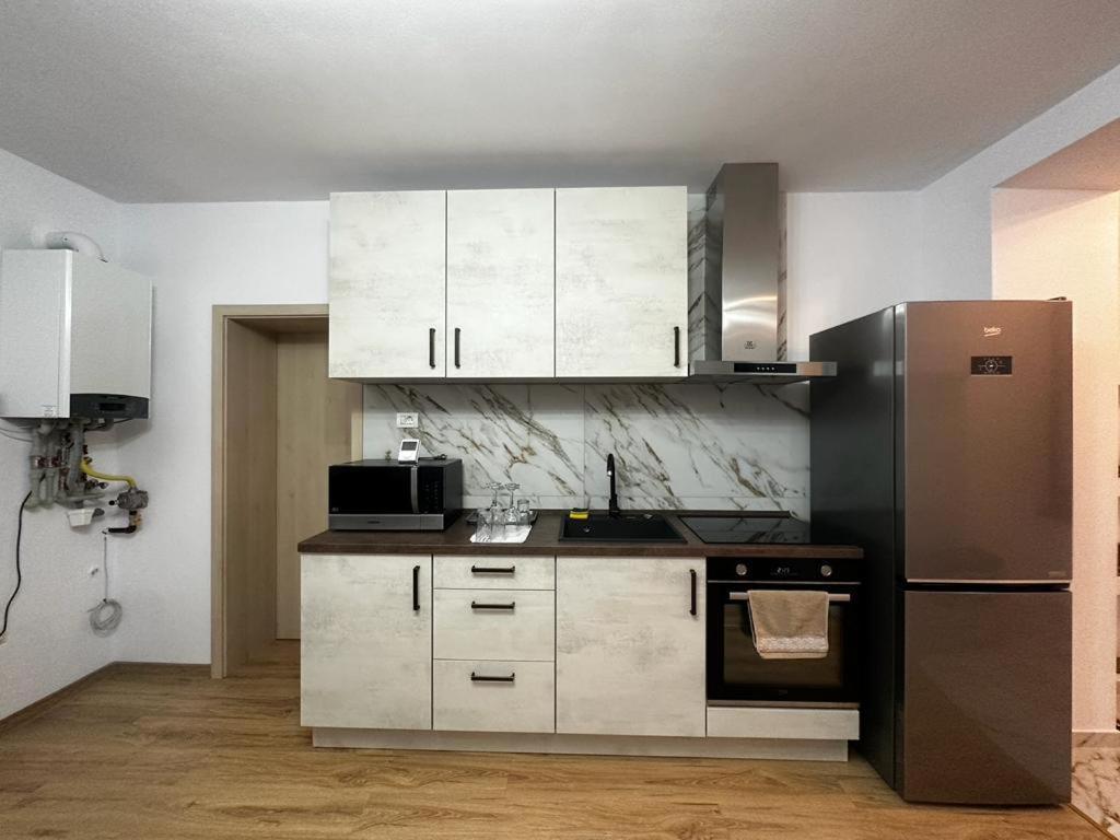 Emanuela Apartments Pecica Exterior photo